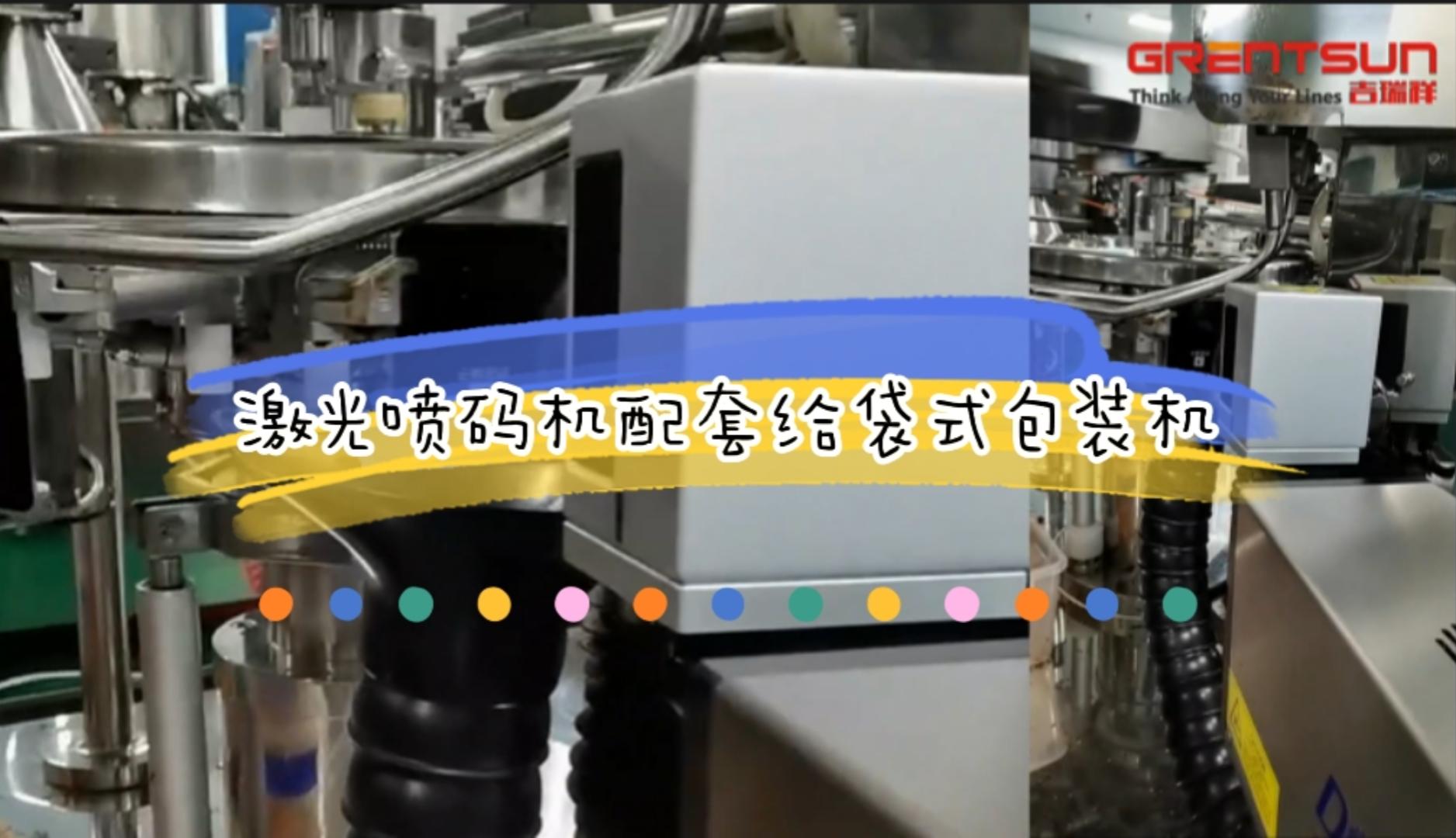 給袋式包裝機激光噴碼機應用實例